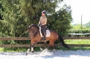 Jument de dressage Hanovrienne 