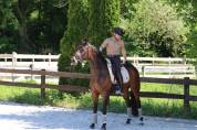 Jument de dressage Hanovrienne 