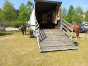 Zware paardenvrachtwagen (groot rijbewijs) Renault Midliner 210 1997 Tweedehands