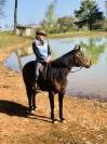 Jument Quarter Horse