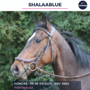 SHALAABLUE - PS - 5 ANS