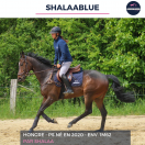 SHALAABLUE - PS - 5 ANS