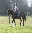 Top cheval de loisir, polyvalent, orientation CCE CSO
