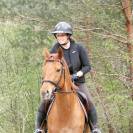 Top cheval de loisir, polyvalent dressage CSO 