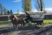 Wagonnette bachée
