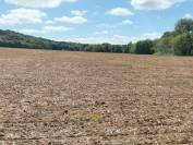 AV corps de ferme sur 20 hectares .