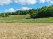AV corps de ferme sur 20 hectares .
