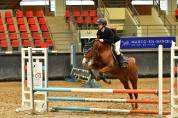 Cheval à vendre