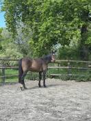 Fast de Champcourt 