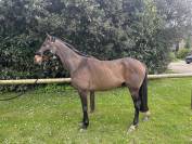 Fast de Champcourt 