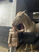 Jument cremello