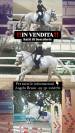 Vedo pony completista