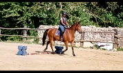 TF 170cm 8 ans