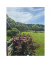 Domaine equestre de prestige - 32 ha certifié BIO