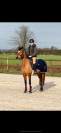 À Vendre ponette de sport 