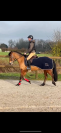 À Vendre ponette de sport 