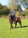 Poney ONC