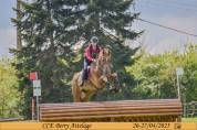 Hongre sf cso/cce