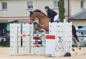 Cheval CSO Maitre d'école
