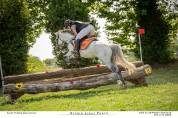 Jument Connemara 7 ans 