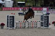 QUEROL DE SAND AA 5 ans 