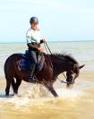 Ponette assurance vie 10 ans