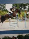 Ponette assurance vie 10 ans