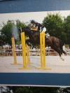Ponette assurance vie 10 ans