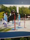 Ponette assurance vie 10 ans