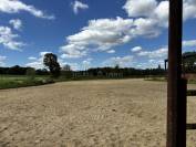 Equestrian property  Ile-et-Vilaine