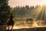 Equestrian property  Ile-et-Vilaine