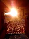 Equestrian property  Ile-et-Vilaine