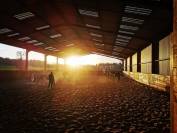 Equestrian property  Ile-et-Vilaine
