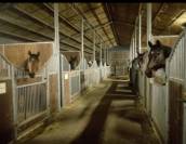 Domaine avec G&icirc;tes et salle de r&eacute;ception, 15 ha, C&ocirc;te Atlanti