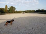 propriété equestre dans la somme