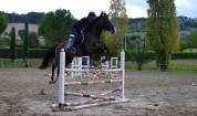 Cavallo da salto ostacoli