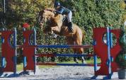 Sf 16 ans Inarretable et gentil 