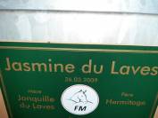 Paire Franche Montagnes