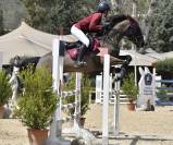 Super Pony da competizione 