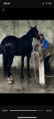 Super Pony da competizione 
