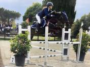 Super Pony da competizione 