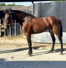 Jolie espagnole 4 ans   