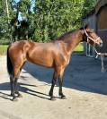 Jolie espagnole 4 ans   