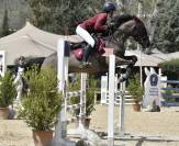 Pony da competizione 