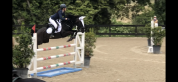 Pony da competizione 