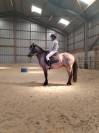 Poney C