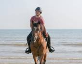 Poney à vendre Émir d’Avenir, hongre pfs