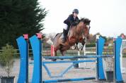 Poney à vendre Émir d’Avenir, hongre pfs