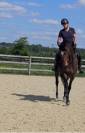 Superbe jument PS de 4ans 