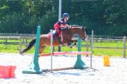 Poney 5 ans